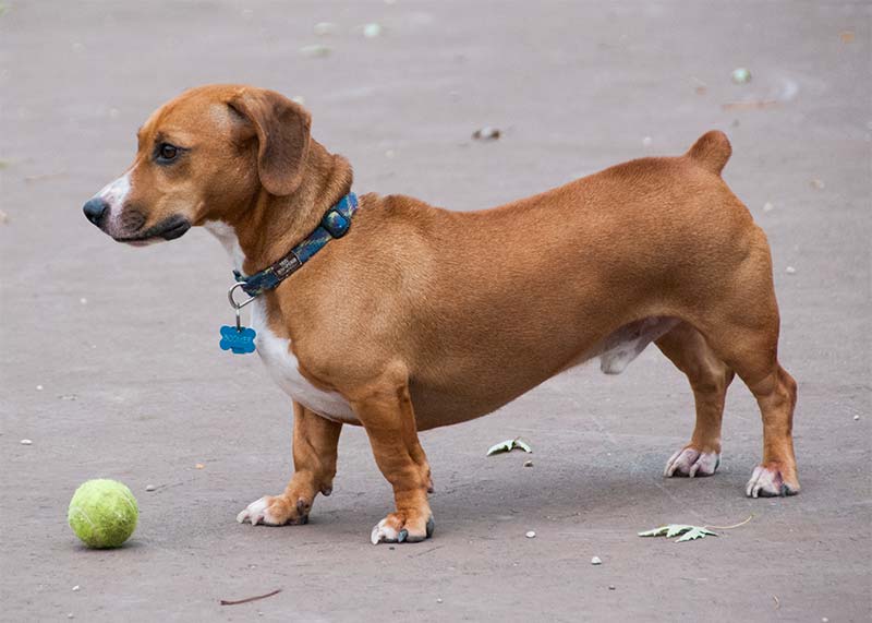 Boomer ab1412b168984a331d6f661814b3bf33ad5838bd77eb0fd6df78ef656b700c58