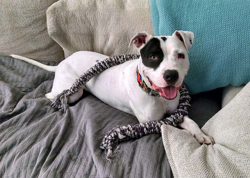 Jemma 79b1fc9eec4777094f9b74d12bb73e9cd14d303059e0a8f05c68cc6a877fd075