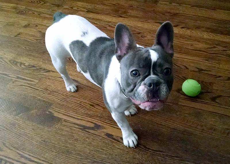 Stella ab4b734126ddf827aca9a6b8f6ede08ae1395f109d6f55a2f4575e403ad30a3e