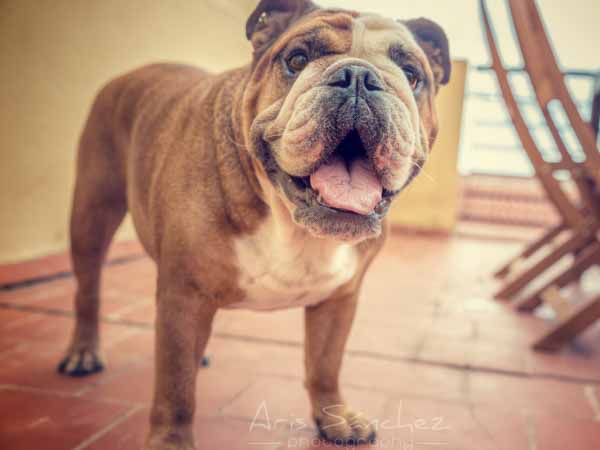 14560141412 a4c8a1e3de o a940a45c7c3bd3da12ec6f03ec0ba7d2deeecd644c900641e148c1afba9a8dbd