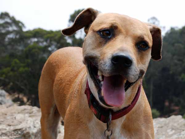 3753501256 e8332f1c8a o b36e96d91f1abd4930f5f41aa360a26b2e8a2524107ac60e09b84c5b7b0f73e5