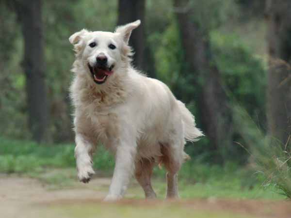 6606419505 0789278ba3 o 75e2a326d7f1d97b348ef2975dac620b5556f9578f3d182de22d133bdb98f72a