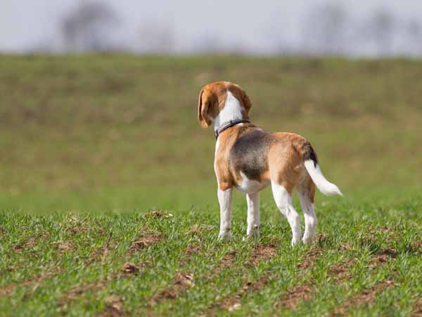 6845207094 ffd6e5a39b o ce0145dccf4e931efade6cbe47b837e526282a8e8ec5c74c6f6e2e3e21512606