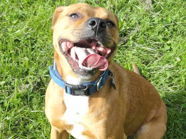 9184495874 064f2b2daa o c73bc2f42203b854721df22b7d4aeeb4fe8a0347f86426fbe94e8588d1eb1025