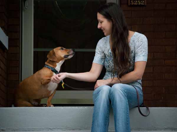 Dsc 0004 c7cfe465531c23872c3362c0428fa90d09e70563f0db2c93ba156fde63b0fa73