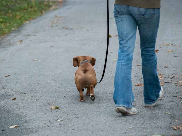 Dsc 0193 d06e7075d5e760810da71482cf7ad073e2f6789128515b0a14c6283d24b0d9ae