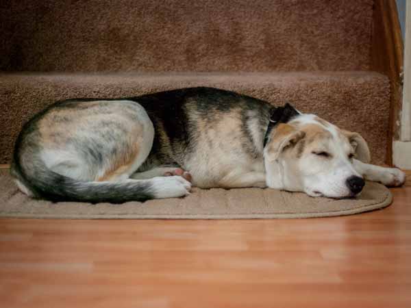 Dsc 0405 f747b5c08373b6dbbe178f3276e1d0d67074c7d14c9459a299e6b4f63d66dd60