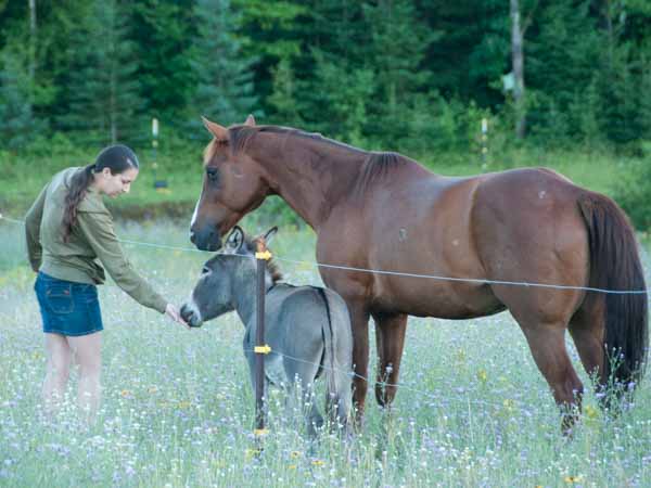 Dsc 0461 aaf62e001f1b0156396712a79e7e3f9c5180413e37e75c37d7c227b7890ee6ca