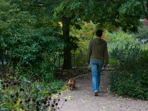 Dsc 0722 4427d56882fa6a09c2255ba2d06218d91968af54c54fa49ac91fdd4c82955d97