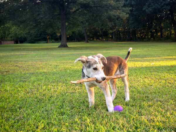 Img 4697 28cce8c6f0b27c4b47ab30c6760553926f39666f14f2181356435842118a6a14