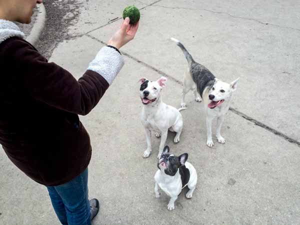 Img 6050 84bf901f4317943e9209f687a00a8822b442a885db487c7ba3ed5866f5725875